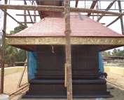 DSC00591 - Copy
